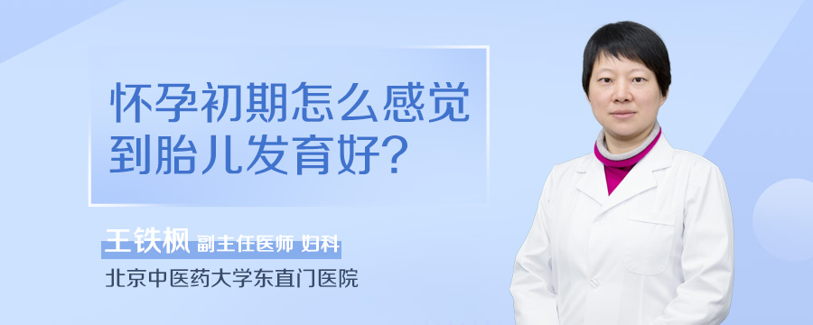 怀孕初期怎么感觉到胎儿发育好
