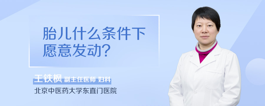 胎儿什么条件下愿意发动
