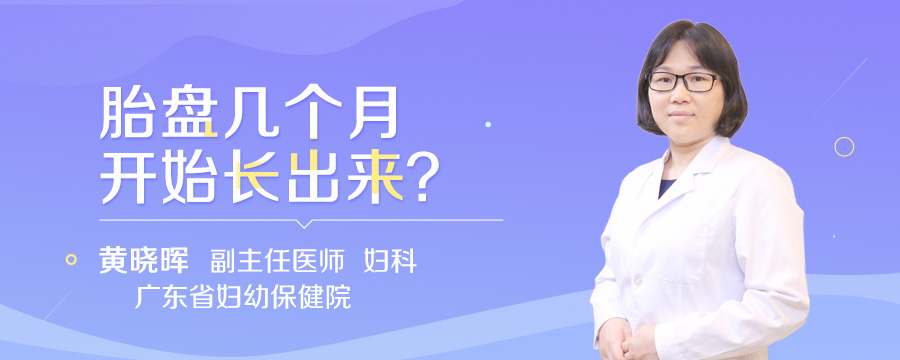 胎盘几个月开始长出来