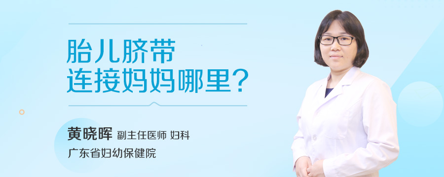 胎儿脐带连接妈妈哪里