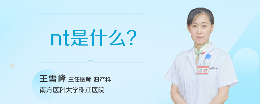 nt是什么