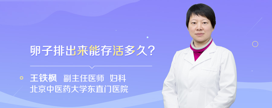 卵子排出来能存活多久