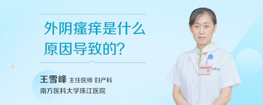 外阴瘙痒是什么原因导致的