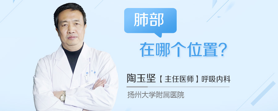 肺部在哪个位置