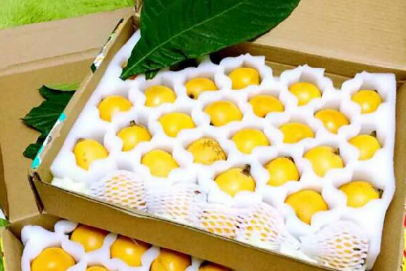 枇杷叶味道苦，表面还有绒毛，煮水前需要清理，避免喝到绒毛引起身体不适。