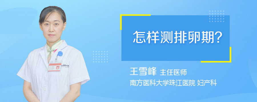 怎样测排卵期