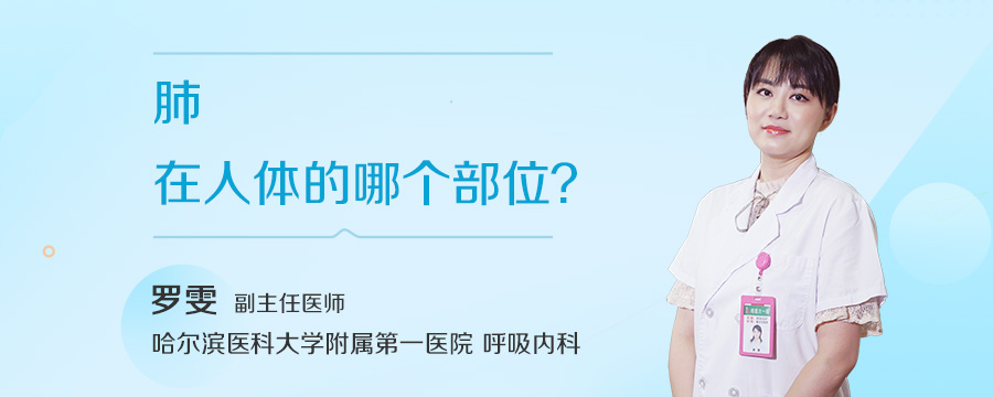 肺在人体的哪个部位