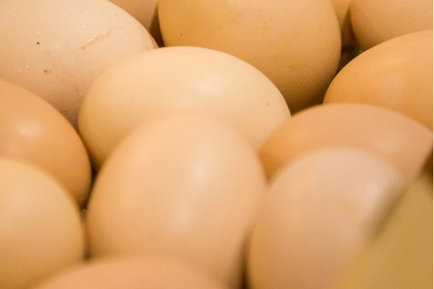 鸡蛋和红薯一起吃会中毒吗