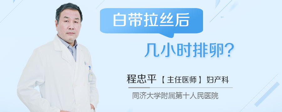 白带拉丝后几小时排卵