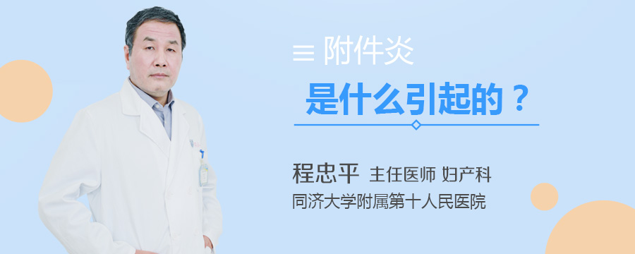 附件炎是什么引起的