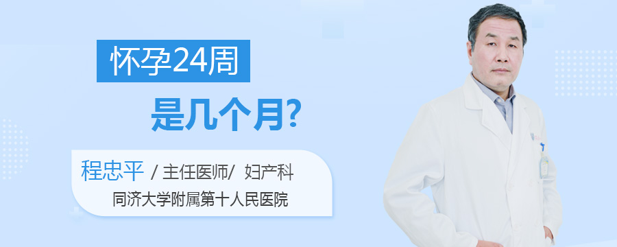 怀孕24周是几个月