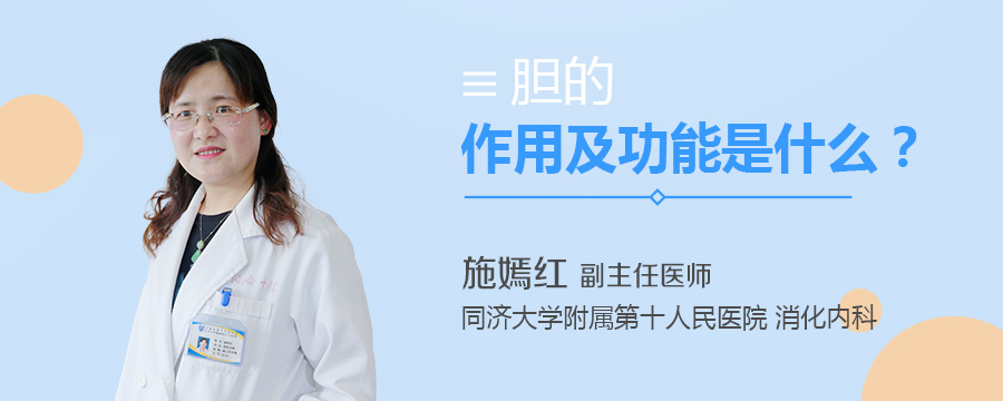 胆的作用及功能是什么