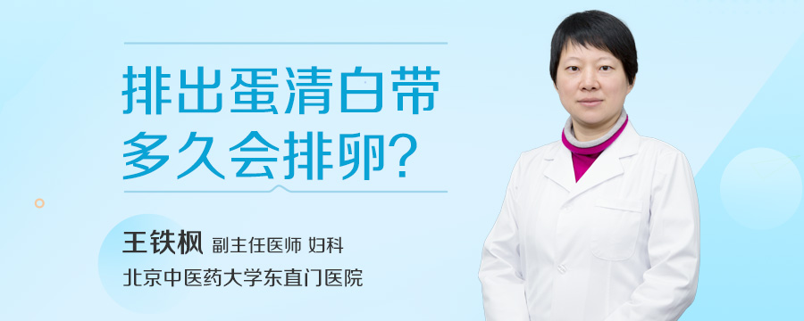 排出蛋清白带多久会排卵