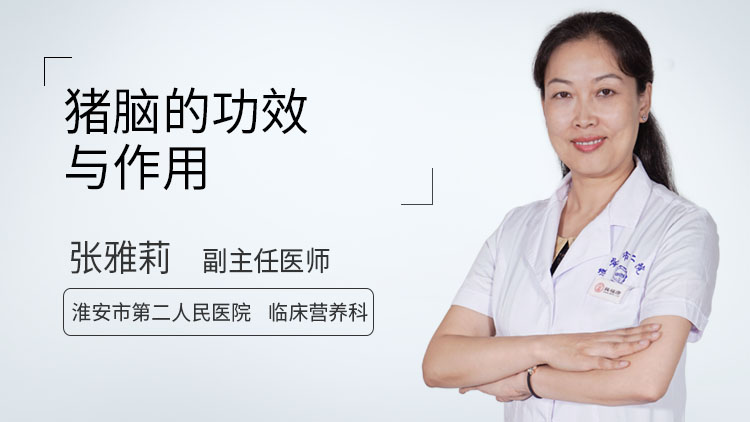 猪脑的功效与作用