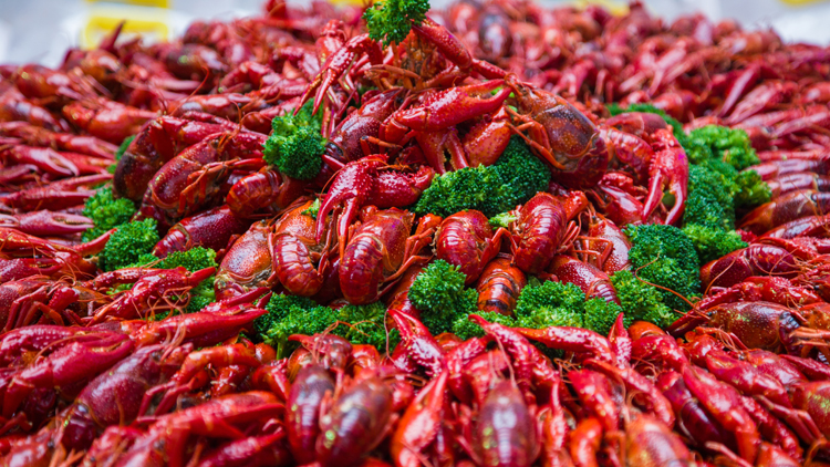 孕妇能吃龙虾吗