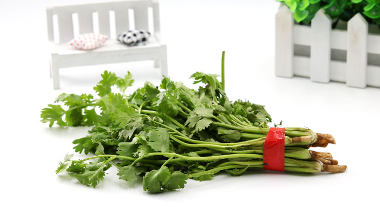 香菜的功效与作用有哪些