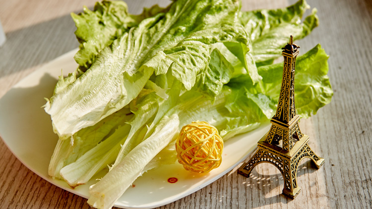 生菜的功效与作用有哪些