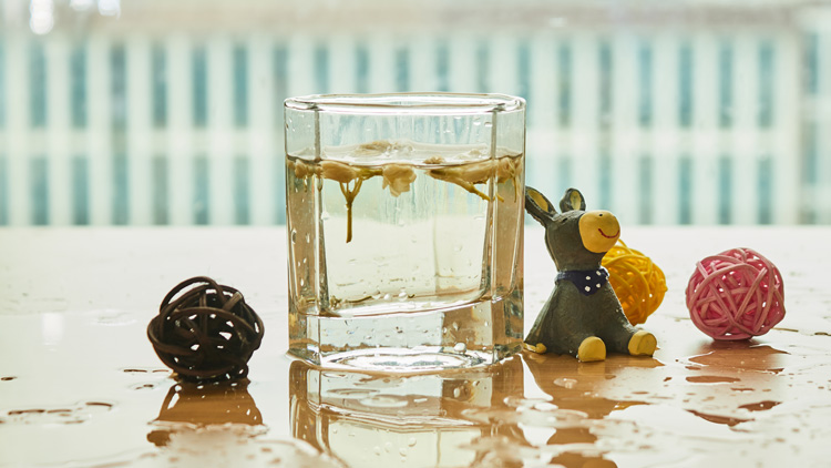 茉莉茶的功效与作用有哪些