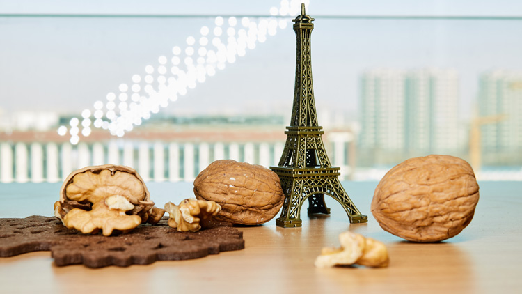 核桃的功效与作用是哪些