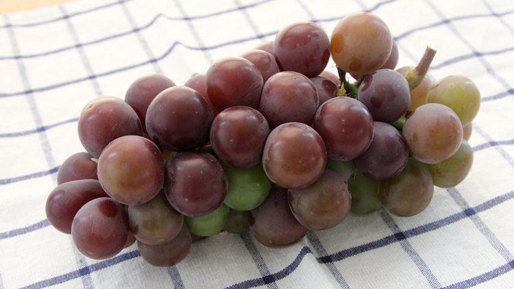 葡萄的功效与作用有哪些