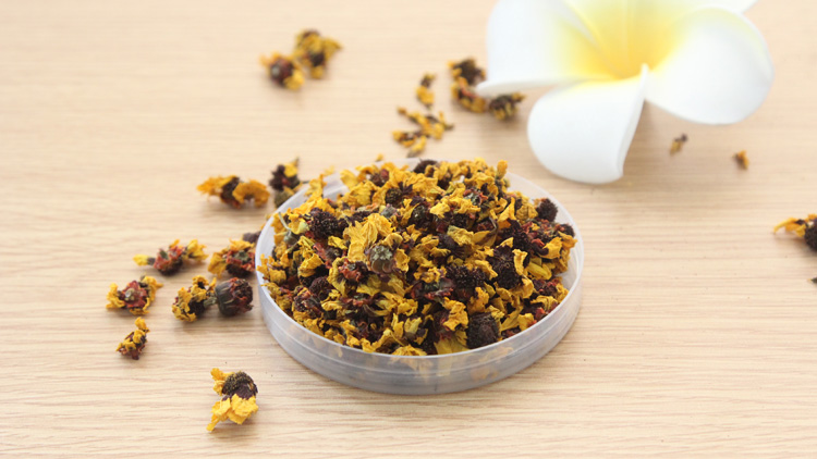 雪菊的功效与作用有哪些