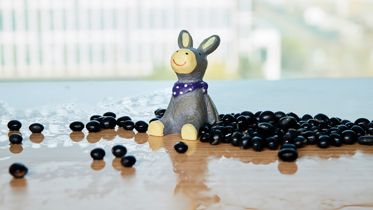 黑豆的功效与作用是什么