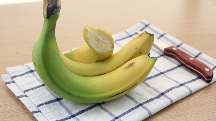 产妇可以吃什么