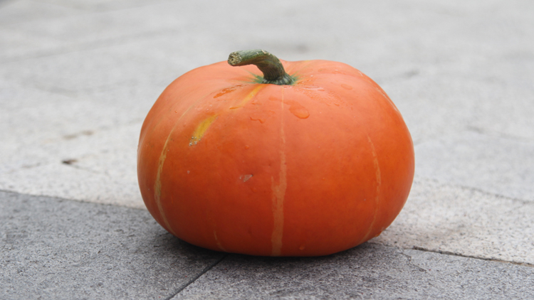 南瓜的功效与作用是哪些