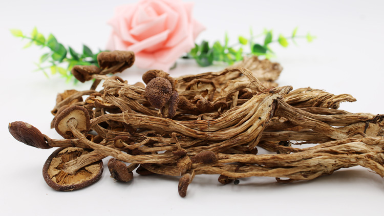 茶树菇的功效有哪些