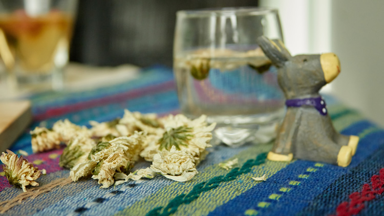 菊花茶的功效与作用有哪些