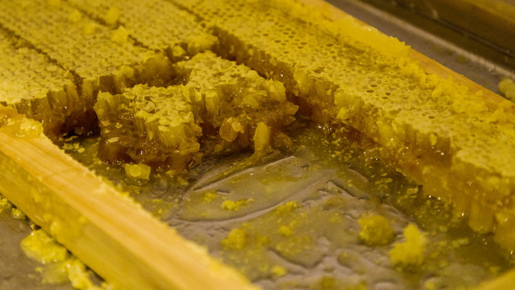 蜂巢蜜的作用与功效有哪些