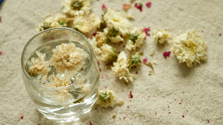 菊花茶的功效与作用是哪些