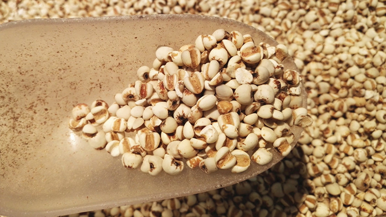 薏米的功效与作用是哪些