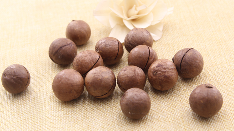 夏威夷果的功效与作用有哪些