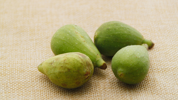 无花果的功效与作用有哪些