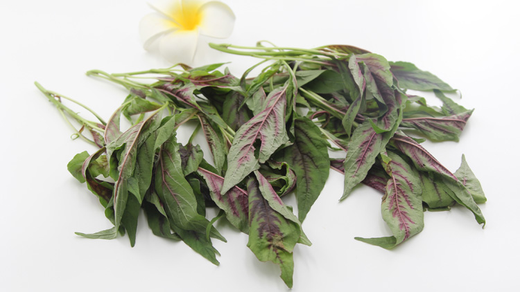 苋菜的功效与作用有哪些