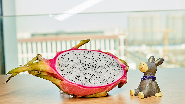 火龙果的功效与作用是什么