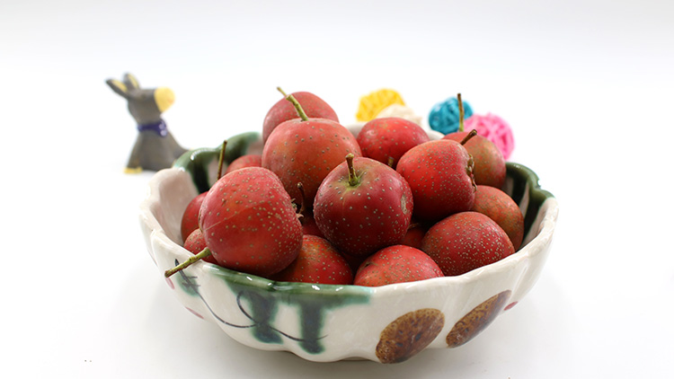 山楂的功效与作用是什么