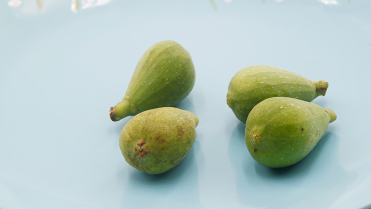 无花果的功效与作用是什么