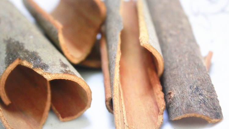 肉桂的功效与作用有哪些