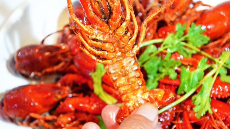 孕妇可以吃小龙虾吗