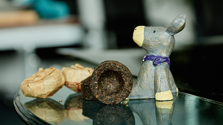 生普洱茶的功效有哪些