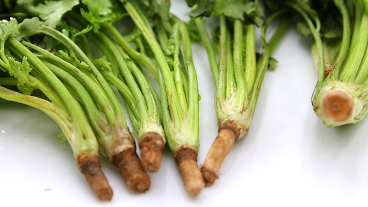 香菜煮水的功效有哪些