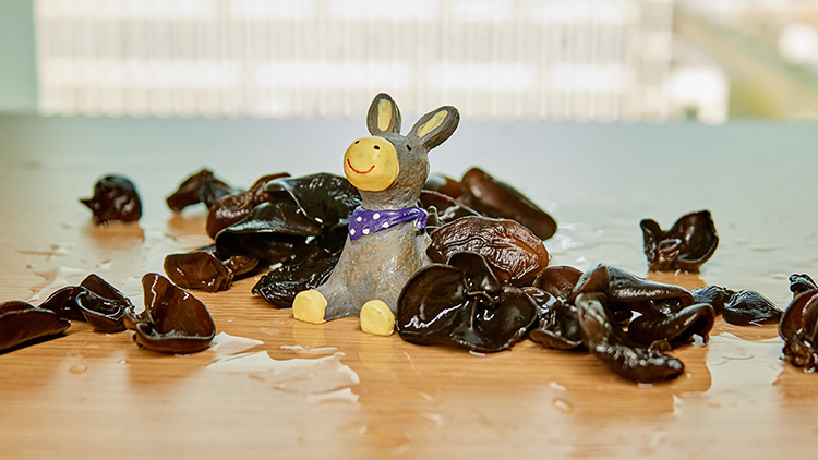 补肾的食物有哪些