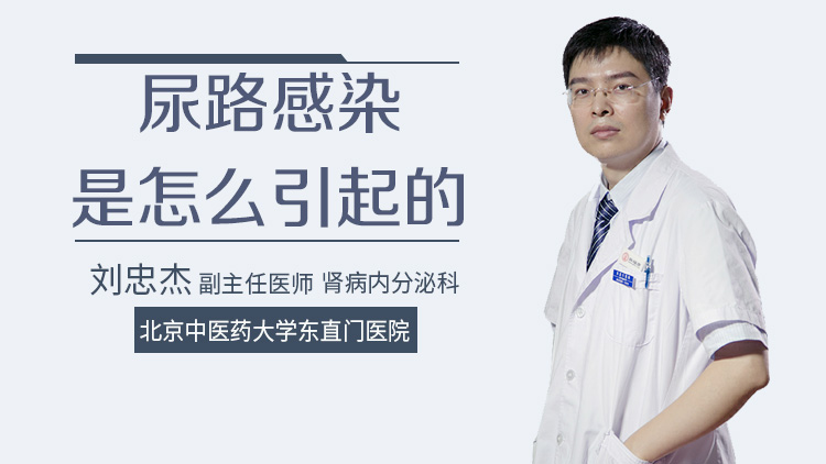 尿路感染是怎么引起的