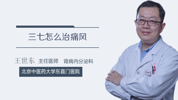 三七怎么治痛风