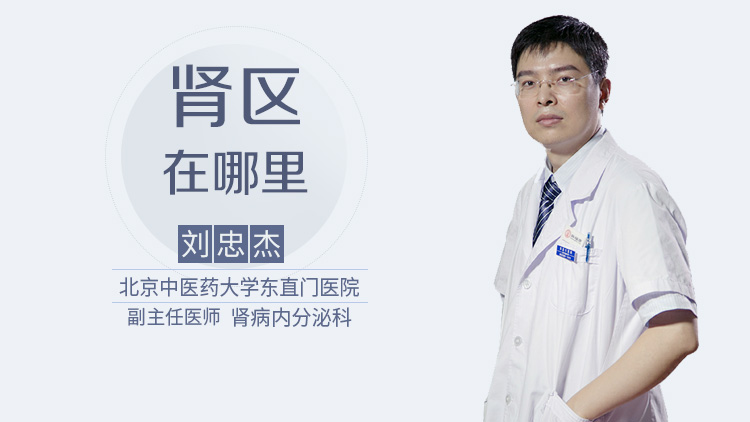 肾区在哪里