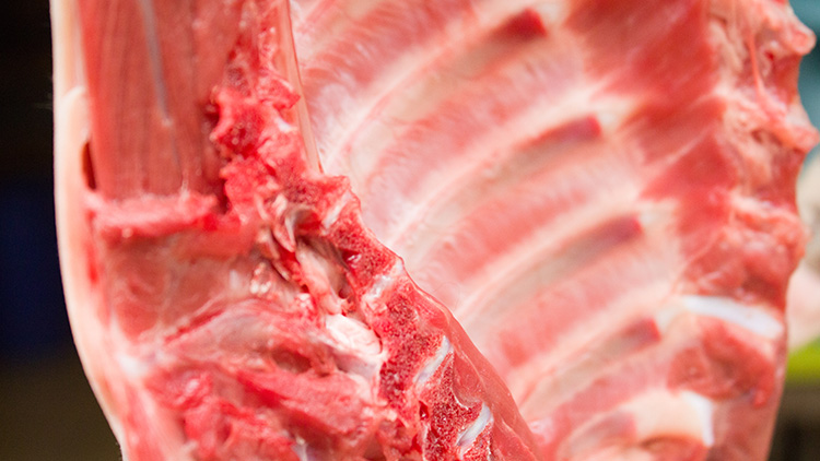 狗肉的功效与作用有哪些