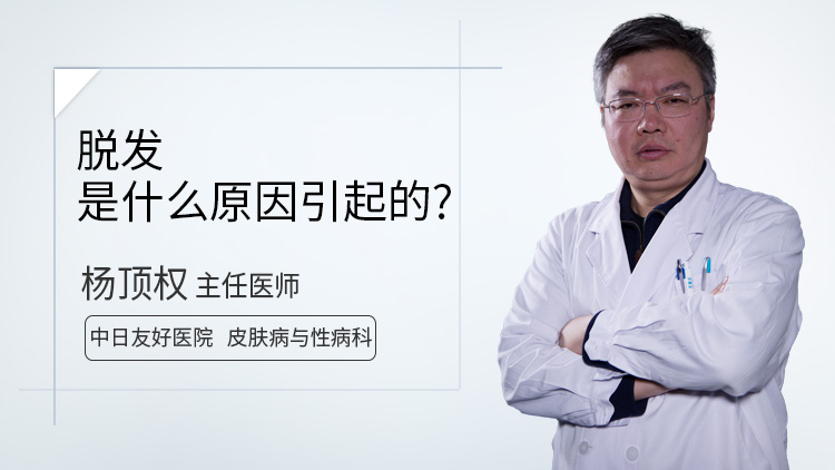 脱发是什么原因引起的