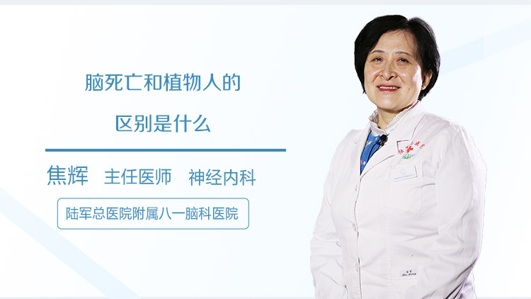 脑死亡和植物人的区别是什么